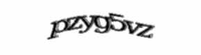 Security check image, please type the characters shown